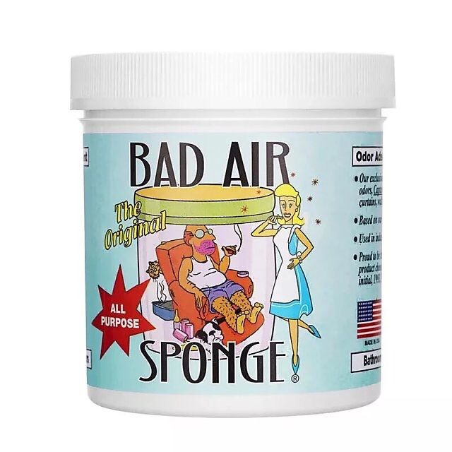 美国Bad Air Sponge空气净化剂进口除甲醛清除剂去异味新房新车