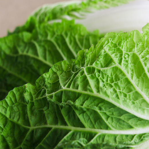 娃娃菜鲜甜脆嫩农场自产babycabbage