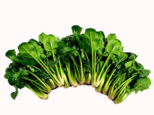 菠菜1斤 商品图0