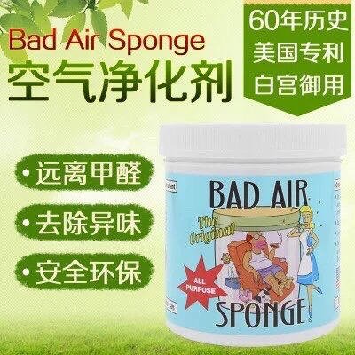 美国Bad Air Sponge空气净化剂进口除甲醛清除剂去异味新房新车 商品图8