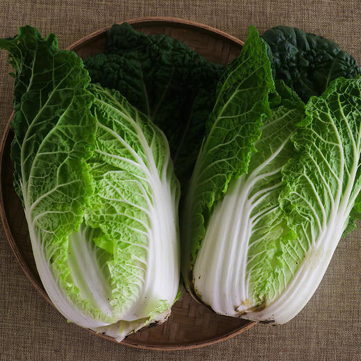 娃娃菜鲜甜脆嫩农场自产babycabbage
