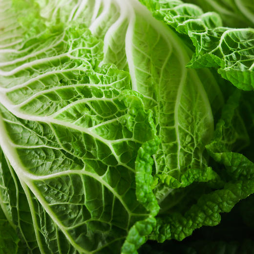 娃娃菜鲜甜脆嫩农场自产babycabbage