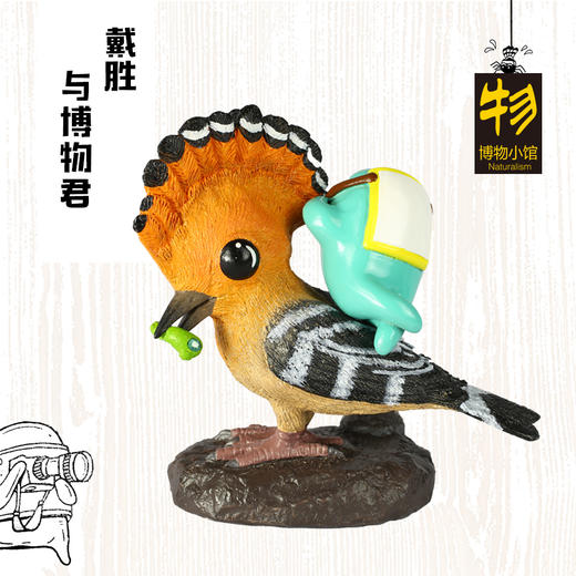 博物小馆原创【戴胜与博物君】博物杂志官方形象磁力手办模型 商品图1