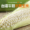 超甜水果玉米 源自台湾品种水果牛奶玉米 一款可以生吃的水果玉米鲜甜美味约4斤6-8个装包邮 商品缩略图0