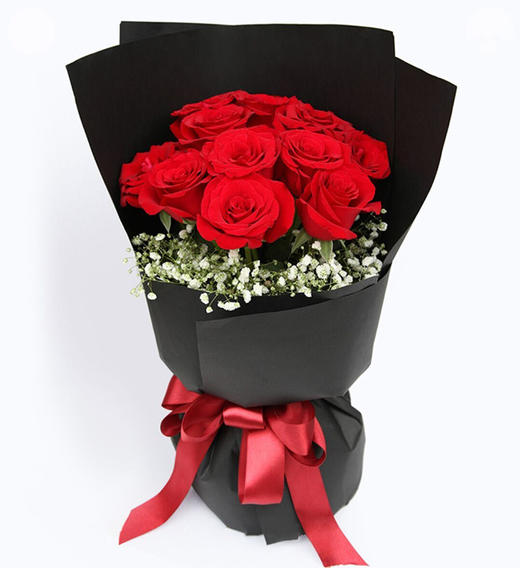黑夜之光---红色玫瑰11枝,满天星适量搭配 黑色条纹纸包装,红色缎带花