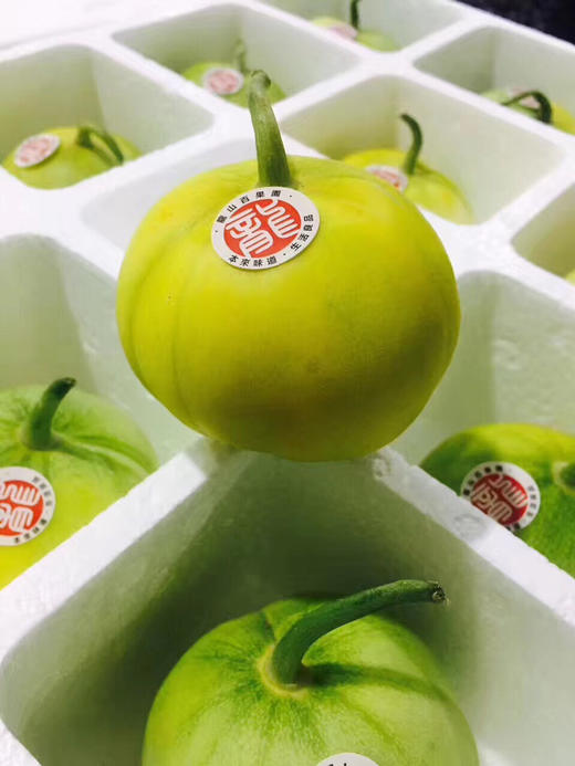 【全国包邮,偏远地区除外】龙山百果园 元宝甜瓜4.