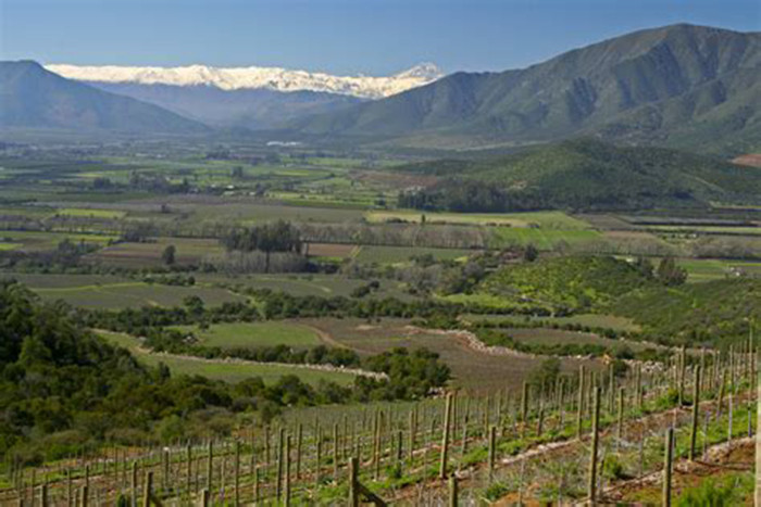 桑雅庄园智利阿空加瓜谷2015senaaconcaguavalleychile