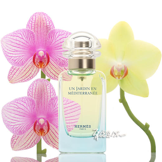 HERMES爱马仕地中海花园女士香水 小样/正装 商品图0