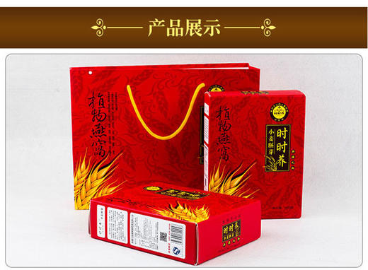 新疆时时养小麦胚芽 天然绿色食品原味小麦胚芽片 礼盒袋装 480g 商品图3