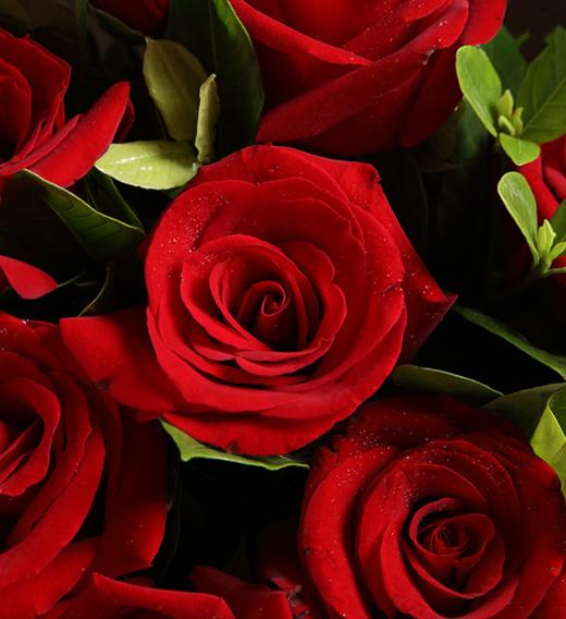 爱情花火---红玫瑰9枝，搭配栀子叶、满天星适量 内层白色雾面纸，外层黑色雾面纸（1056） 商品图2