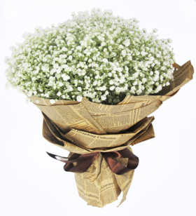 致青春/无声的爱----满天星一大扎，经典米色旧报纸平面纸圆形包装，深咖啡色丝带花结