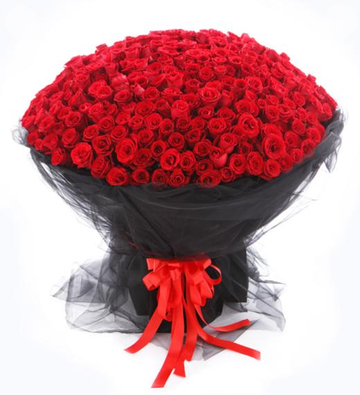 想你的365天----365朵玫瑰（红、粉、白颜色可选）。 米黄色网纱围绕，粉色米黄色双色缎带花结(1103) 商品图1