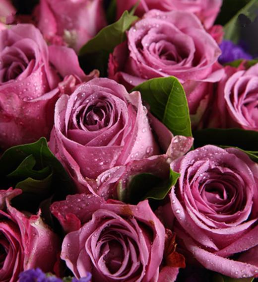 为你心动紫玫瑰11枝搭配适量紫色勿忘我栀子叶内层白色雾面纸外层浅紫