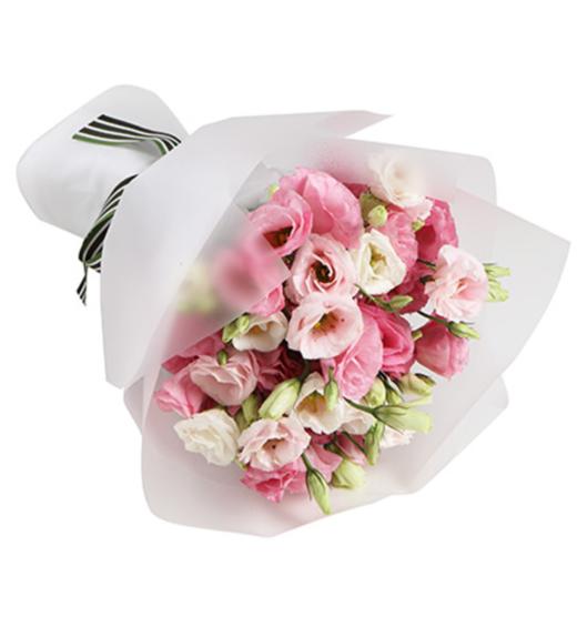 花香四溢--粉色桔梗1扎 白色opp雾面纸 白绿罗纹带(1085) 商品图1