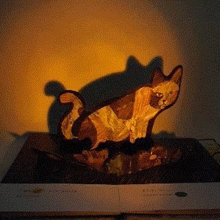 点亮夜空的萤火虫 商品图4