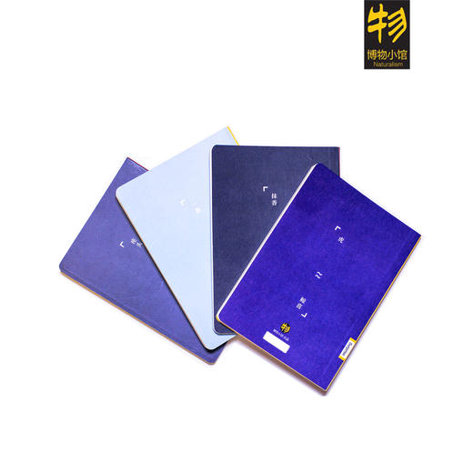 博物小馆原创【鲸喜】系列笔记本 鲸鱼主题谐音成语 商品图3