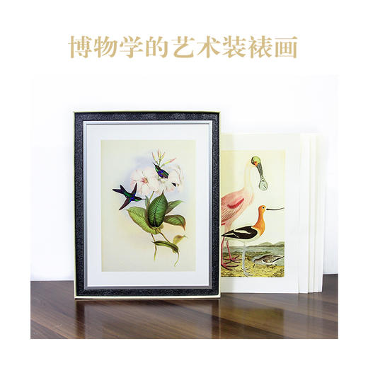 博物小馆原创【艺术装裱画】大尺寸 精美印刷 顺丰包邮单独发货 商品图1