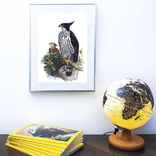 博物小馆原创【艺术装裱画】大尺寸 精美印刷 顺丰包邮单独发货 商品图4