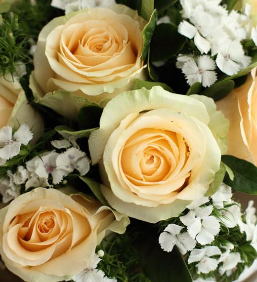 香妃--香槟玫瑰9枝，白色石竹梅适量搭配 白色雾面纸，青灰色双面牛皮纸，白绿罗纹带（1125） 商品图3