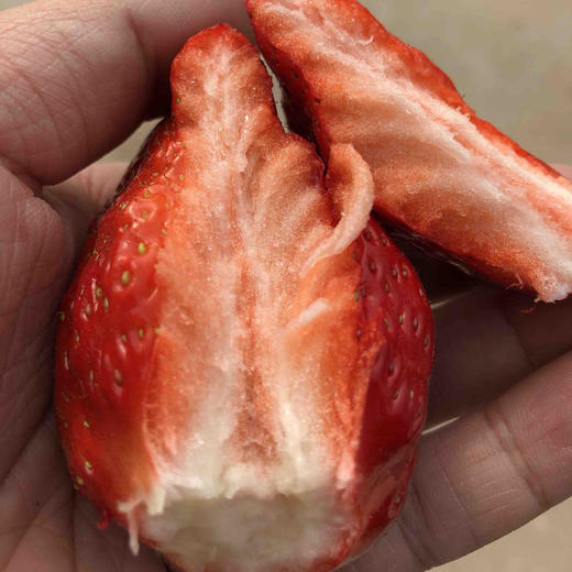 涵香草莓，糖度高，香气十足，草莓味特浓郁，甘甜多汁，八分甜二分酸，极耐运输。大果小果混合发货。 商品图3