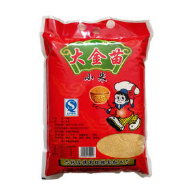 大金苗小米(适合做粥)【5斤/袋】