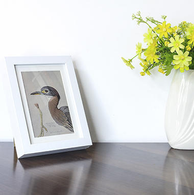 博物小馆原创【博物装裱画】之埃塞俄比亚的鸟 精美印刷含相框 商品图3