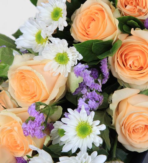 我只钟情你--香槟玫瑰11枝、白色小雏菊3枝、浅紫色勿忘我4枝、栀子叶2枝 米白色平面纸1张、蓝色条纹纸1张、米白色缎带1米、60#大号魔力铁山灰包装盒 商品图2