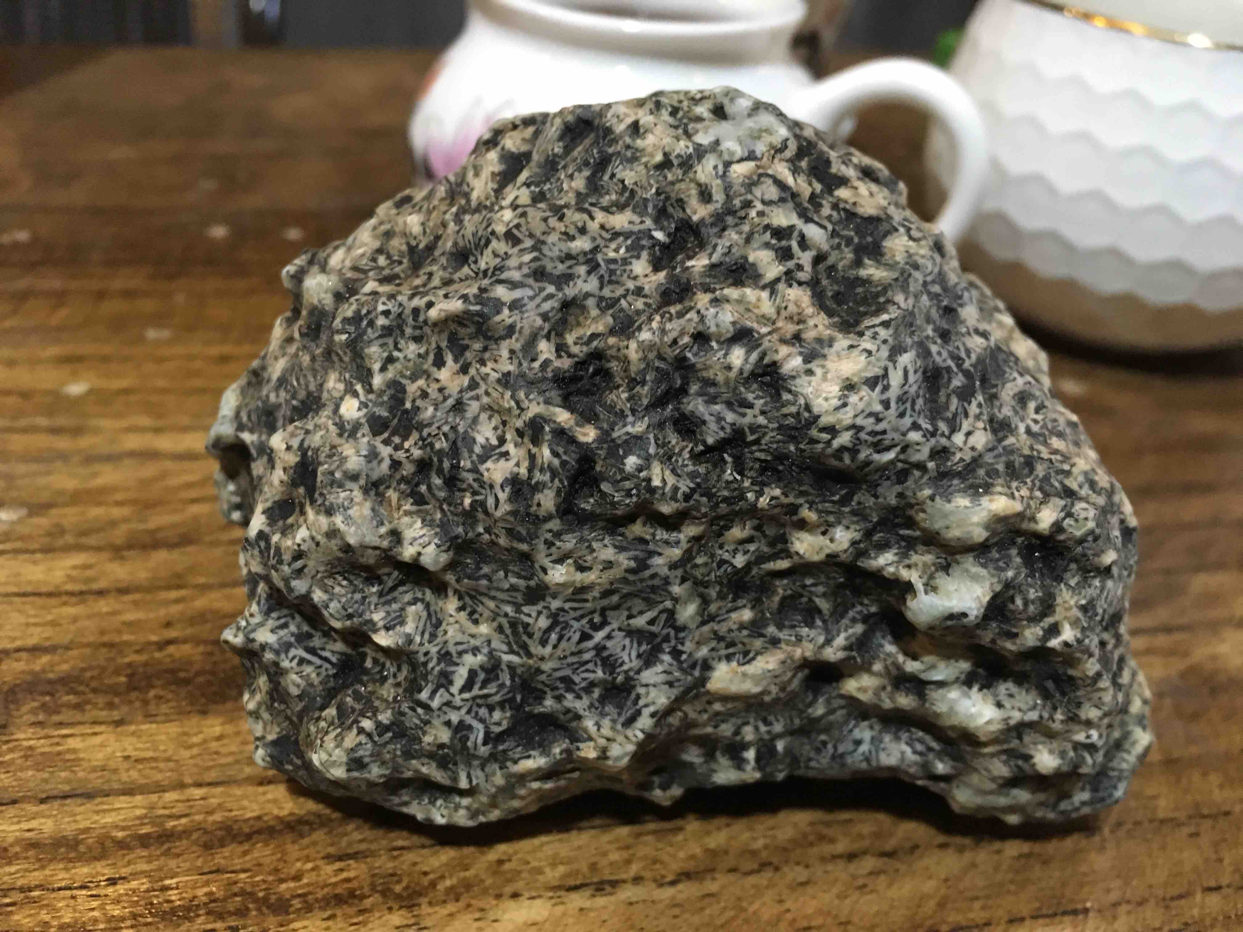 化石草的花朵在枯萎之后,就会结果,而这些果实成熟之