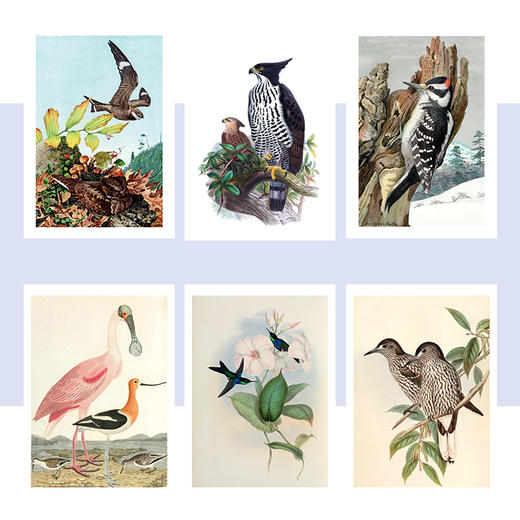 博物小馆原创【艺术装裱画】大尺寸 精美印刷 顺丰包邮单独发货 商品图2