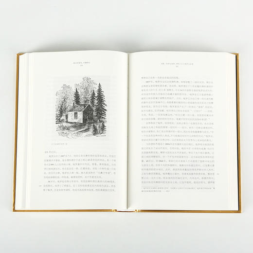 【正版图书】创造自然  亚历山大·冯·洪堡的科学发现之旅 商品图5