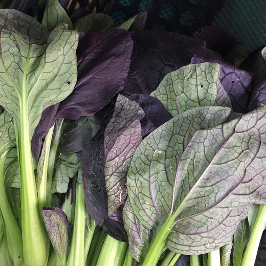 禾春元食品禾春元原生态高山紫妃1份约500g约350g林晓晴的菜