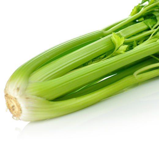 西芹 有机种植 - 壹品庄园