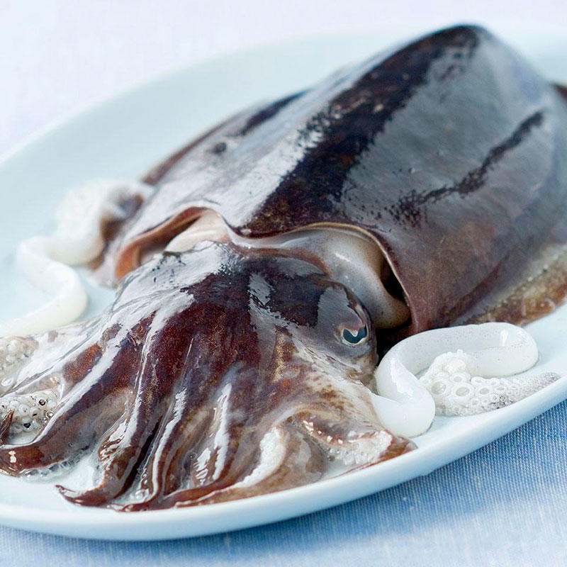 骤到 东海海鲜 野生冰鲜墨鱼 当天捕捞