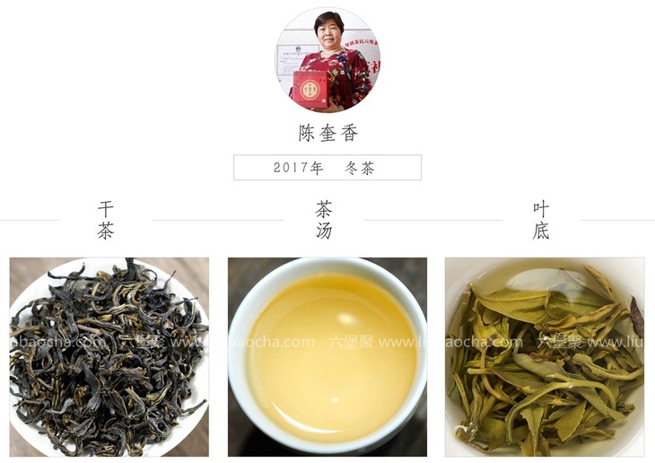 陈奎香六堡茶图片