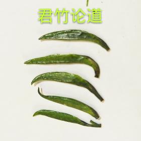 2022新茶上市！君竹论道（中国蒙頂高山绿茶）50克/罐（散装茶）