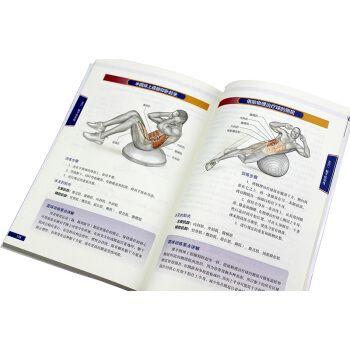 篮球运动系统训练（全彩图解版） 商品图4