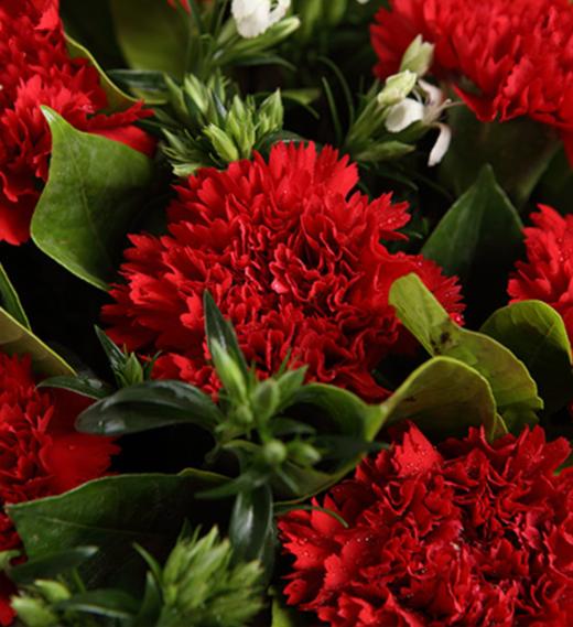 幸福典藏--红色康乃馨16枝，白色相思梅5枝，栀子叶0.5扎 内层白色opp雾面纸，外层粉色opp雾面纸，白咖细罗文带(1192) 商品图3