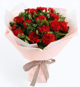 幸福典藏--红色康乃馨16枝，白色相思梅5枝，栀子叶0.5扎 内层白色opp雾面纸，外层粉色opp雾面纸，白咖细罗文带(1192)