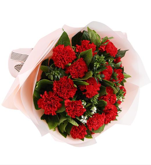 幸福典藏--红色康乃馨16枝，白色相思梅5枝，栀子叶0.5扎 内层白色opp雾面纸，外层粉色opp雾面纸，白咖细罗文带(1192) 商品图1