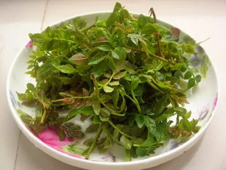 北京包邮陕西渭南新鲜花椒芽280g份两天发货一次浓郁的花椒味道凉拌做