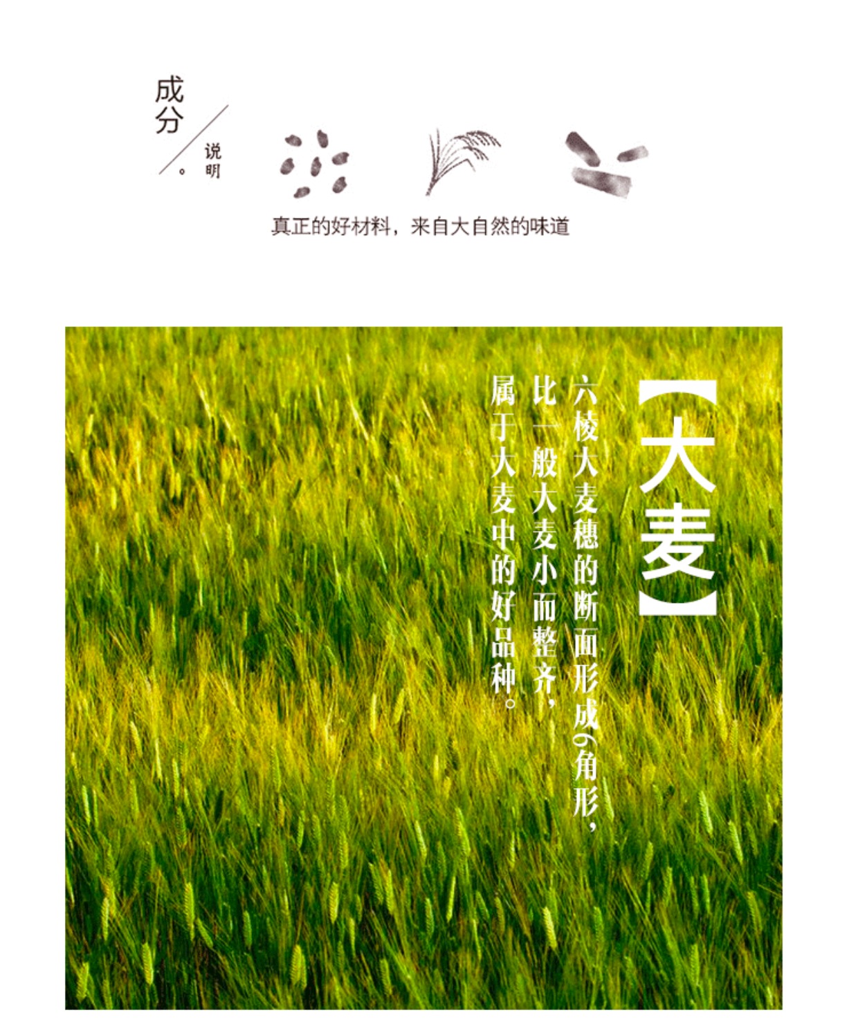 喜善花房 大麦茶 200克 两盒 - 喜善花房