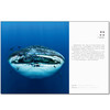 现货！《BBC全新4K海洋百科：蓝色星球II  》 豆瓣9.9分高评，中国3亿人次抢看！ 全程4K高清，抵达深海禁区 商品缩略图3