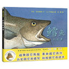 鳕鱼的故事 绘本 商品缩略图1