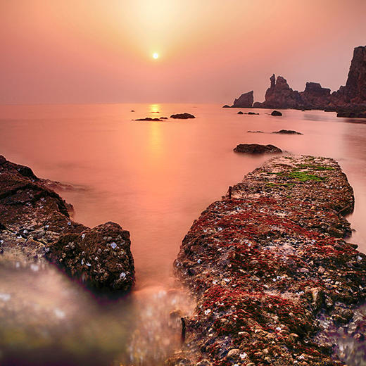 五一4天【长岛烟台 立减50元】与海鸥同行の深度游长岛-蓬莱仙境-打卡网红养马岛-烟台渔人码头 商品图7