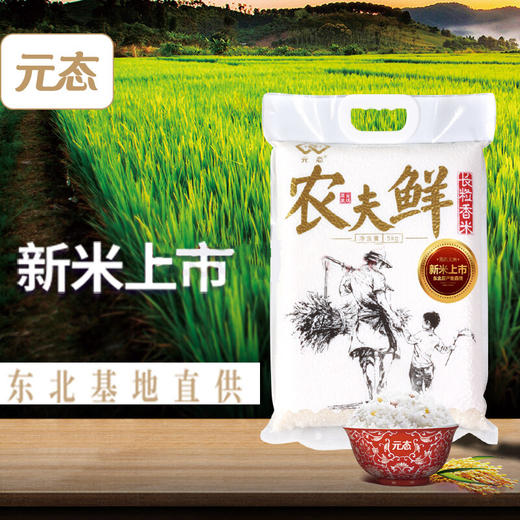 【备用】【爆款】元态农夫鲜长粒香米 5kg 东北优质大米 纯正米香 口感超好 商品图2