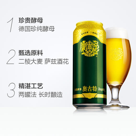 青岛啤酒奥古特易拉罐500ml