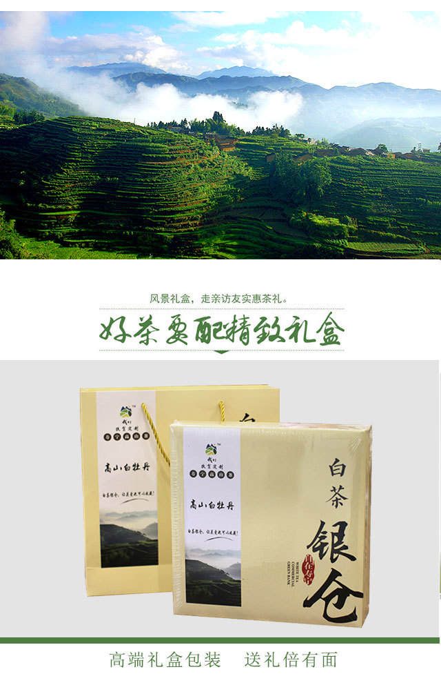 白茶银仓寿宁高山茶4年老白茶牡丹饼礼盒装