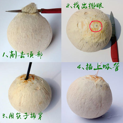 【2026新货 泰国椰皇】泰国天然椰子制成，无任何添加，奶香味足，老少皆宜的一款健康饮品。家庭分享装，江浙沪皖顺丰包邮~ 商品图3