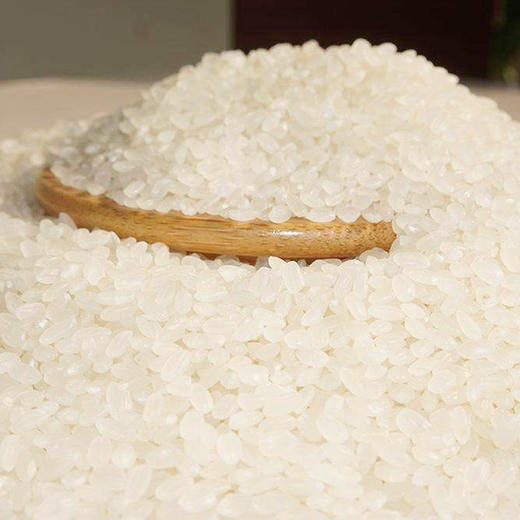 【盘锦大米】东北大米|蟹田鲜米|蟹稻共生|生态安全|10kg 商品图1