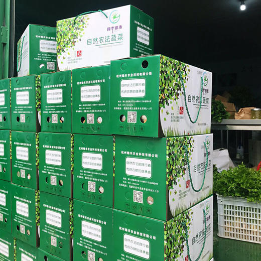 自然农法当季蔬菜礼盒   6份*(350g-500g/份) 商品图6